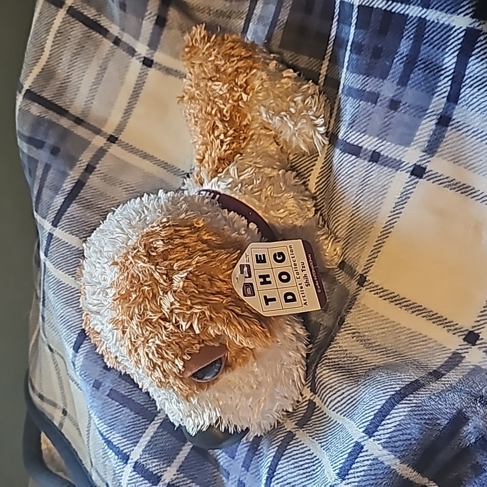 The Dog Shih Tsu stuffed animal